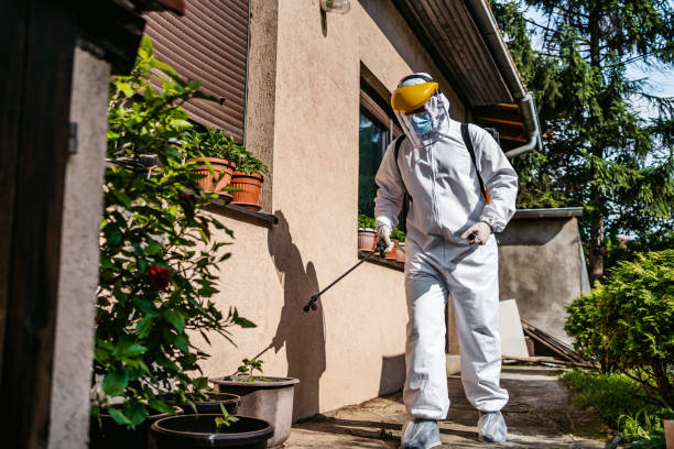 Wildlife Control Services in Shallowater, TX