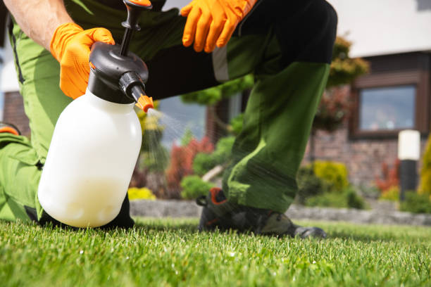 Bird Control in Shallowater, TX
