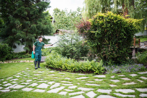 Best Ant Control Services  in Shallowater, TX