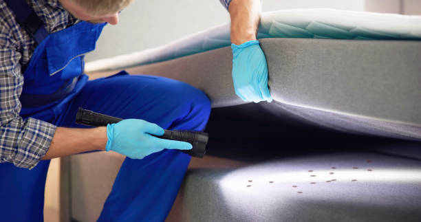 Best Pest Prevention Services  in Shallowater, TX