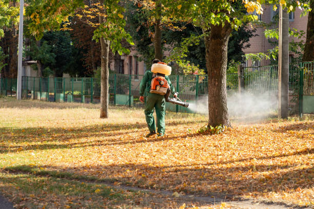 Best Flea Control Services  in Shallowater, TX