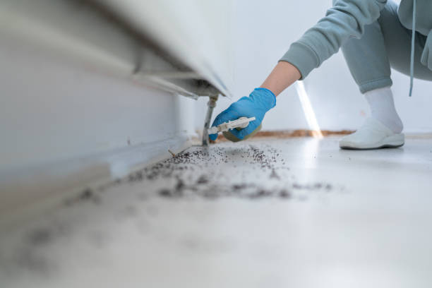 Best Residential Pest Control  in Shallowater, TX