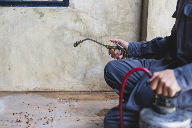 Best Pest Inspection Near Me  in Shallowater, TX