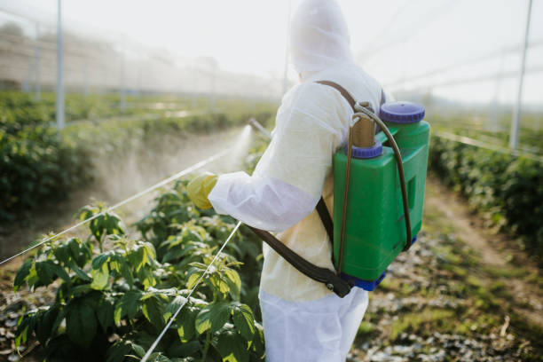 Best Mosquito Control Services  in Shallowater, TX